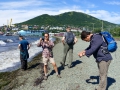 IMG_20160825_050646