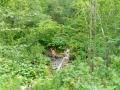 IMG_20160827_014830