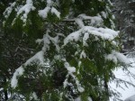 IMG_6691