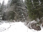 IMG_6695