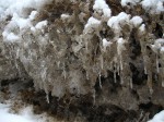 IMG_6704