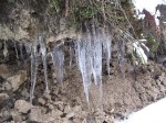 IMG_6709