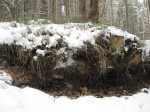 IMG_6711