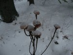 IMG_6745
