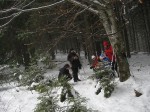 IMG_6750