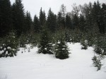 IMG_6760