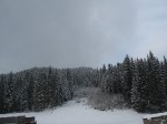 IMG_6773