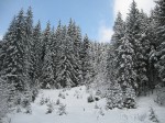 IMG_6777