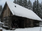 IMG_6782