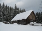 IMG_6783
