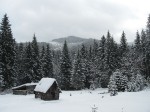 IMG_6786