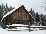 IMG_6788