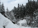 IMG_6789