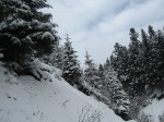 IMG_6790
