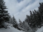 IMG_6791