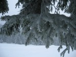 IMG_6801