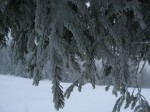 IMG_6802