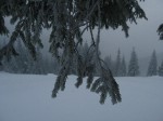 IMG_6804