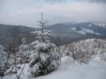 IMG_6844