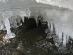IMG_6853
