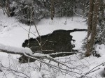 Зимние Карпаты 2010