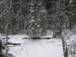 Зимние Карпаты 2010