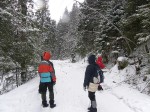 Зимние Карпаты 2010