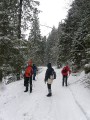 Зимние Карпаты 2010