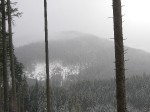 Зимние Карпаты 2010