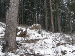Зимние Карпаты 2010