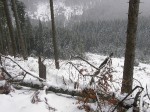 Зимние Карпаты 2010