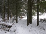 Зимние Карпаты 2010