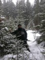 Зимние Карпаты 2010