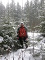 Зимние Карпаты 2010