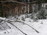 Зимние Карпаты 2010