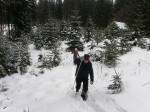 Зимние Карпаты 2010