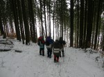 Зимние Карпаты 2010