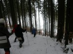 Зимние Карпаты 2010
