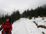 Зимние Карпаты 2010