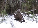 Зимние Карпаты 2010
