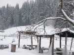 Зимние Карпаты 2010