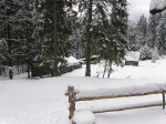 Зимние Карпаты 2010