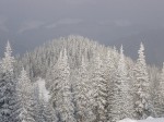 Зимние Карпаты 2010