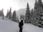 Зимние Карпаты 2010