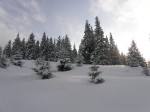 Зимние Карпаты 2010