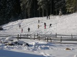 Зимние Карпаты 2010