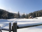 Зимние Карпаты 2010