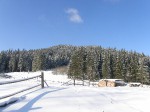 Зимние Карпаты 2010