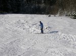 Зимние Карпаты 2010