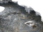 Зимние Карпаты 2010